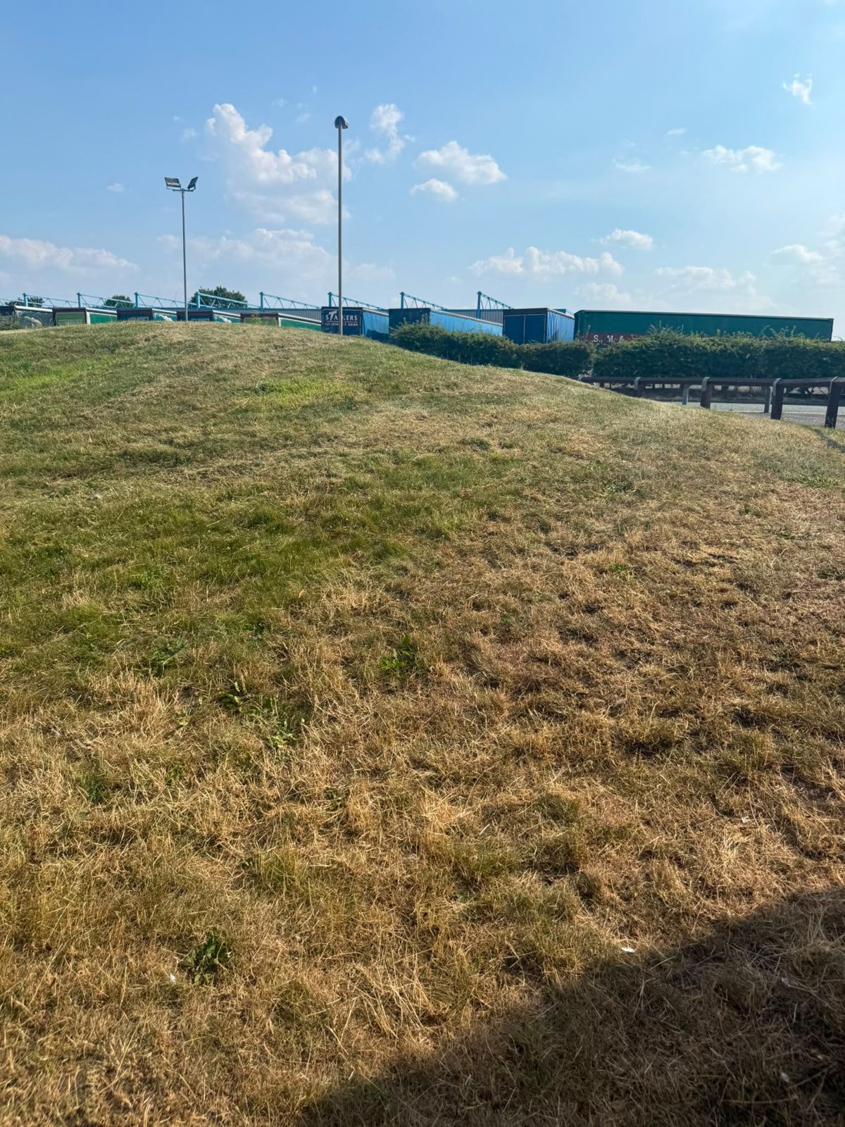 Mown grass mound at a commercial site