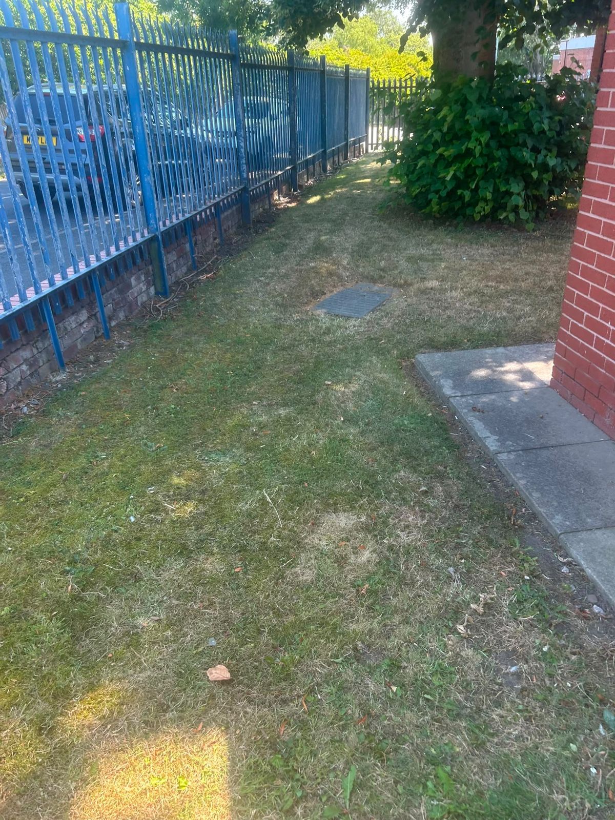 Mown lawn inside a fenced commercial site