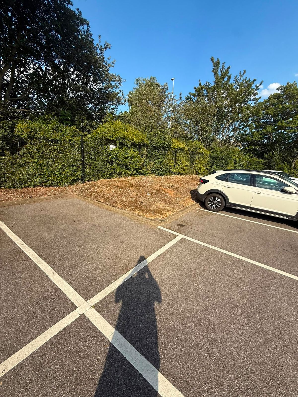 Cleared border and trimmed hedge at a car park
