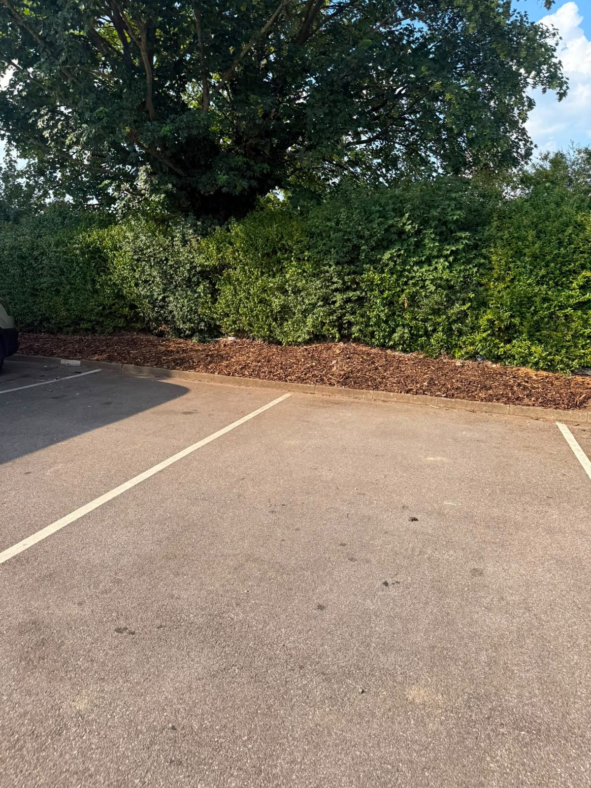 Car park bays with cut-back hedging and cleared borders